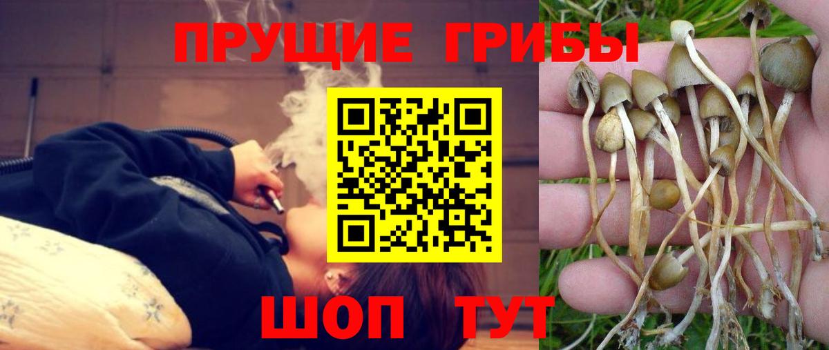 Псилоцибиновые грибы MAGIC MUSHROOMS Южноуральск